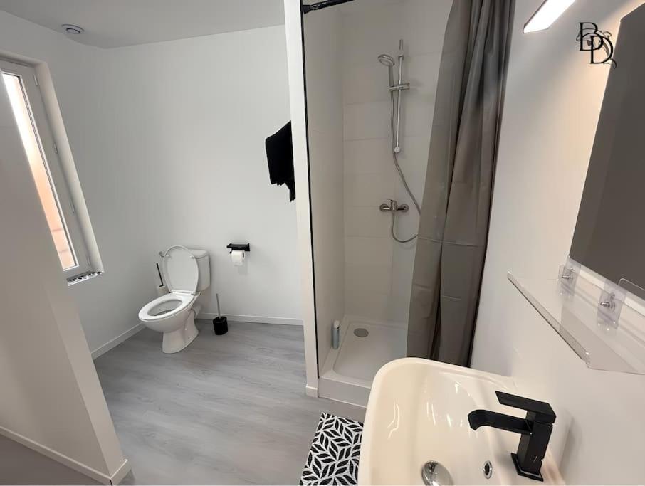T1 Bis Appartement B3 30M2 Cosy 7Min A Pieds Des Gares Roanne Exterior photo